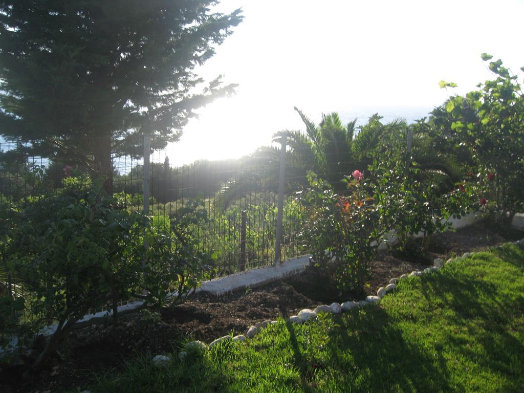 Areti Studios Paramonas  Luaran gambar