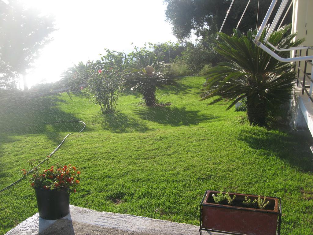 Areti Studios Paramonas  Luaran gambar