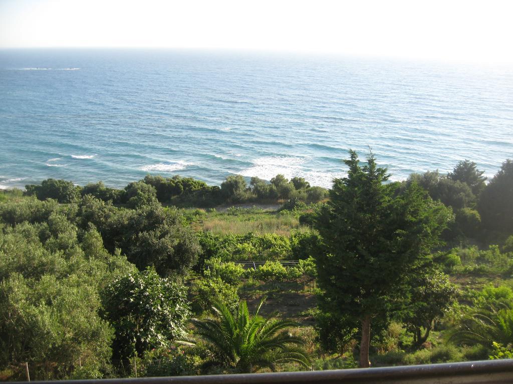 Areti Studios Paramonas  Luaran gambar