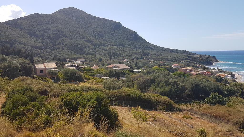 Areti Studios Paramonas  Luaran gambar