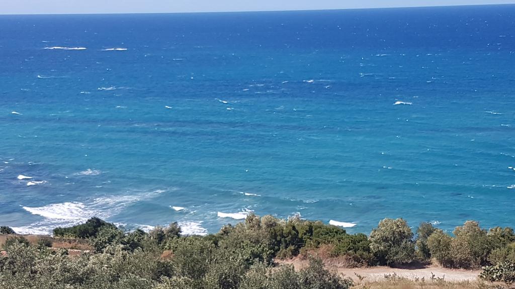 Areti Studios Paramonas  Luaran gambar