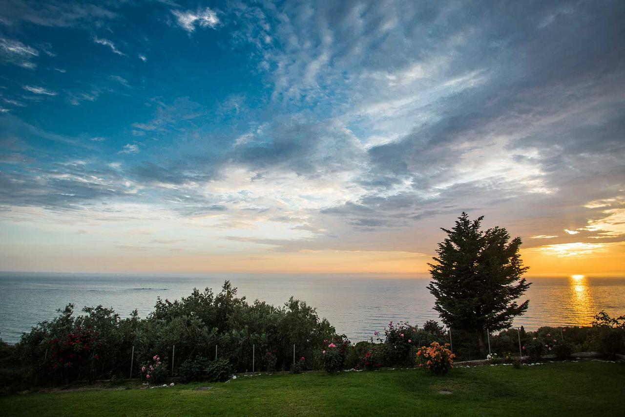 Areti Studios Paramonas  Luaran gambar